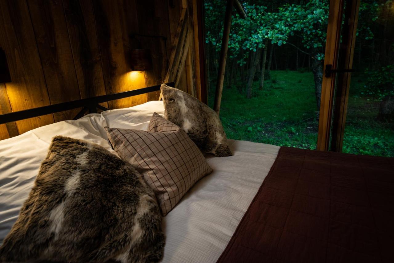 Urzeka Hotell Drzewce  Exteriör bild